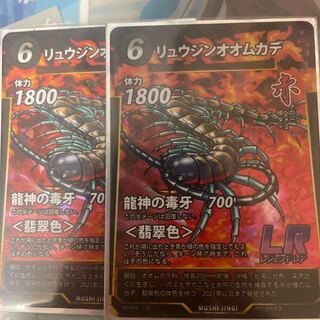 Rhizophora mucronata (species of centipede)