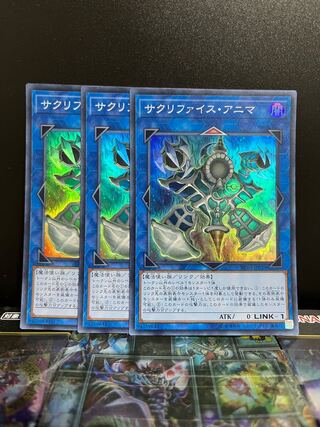 遊戯王スタジオ 6244 サクリファイス・アニマ スーパーレア JP029