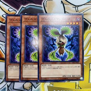 ヴェルズ・マンドラゴ ノーマル JP011