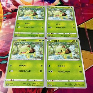 ナエトル 006/172