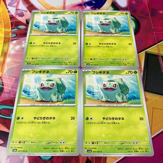 フシギダネ C 001/165