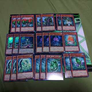Forestara Deck Parts S-Go Plant Family Solitaire Yu-Gi-Oh!