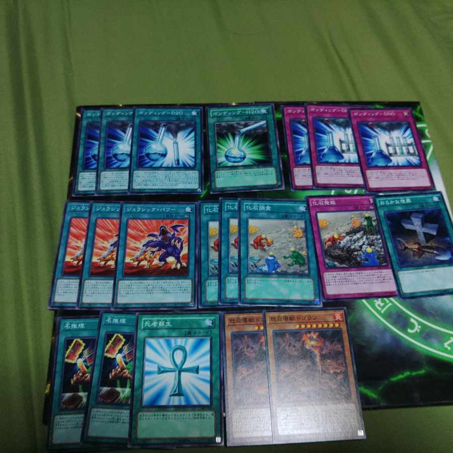 No.43 【遊戯王デッキパーツ】エヴォルド　恐竜　大量デッキパーツセット No.43 【遊戯王デッキパーツ】エヴォルド 恐竜 大量デッキ