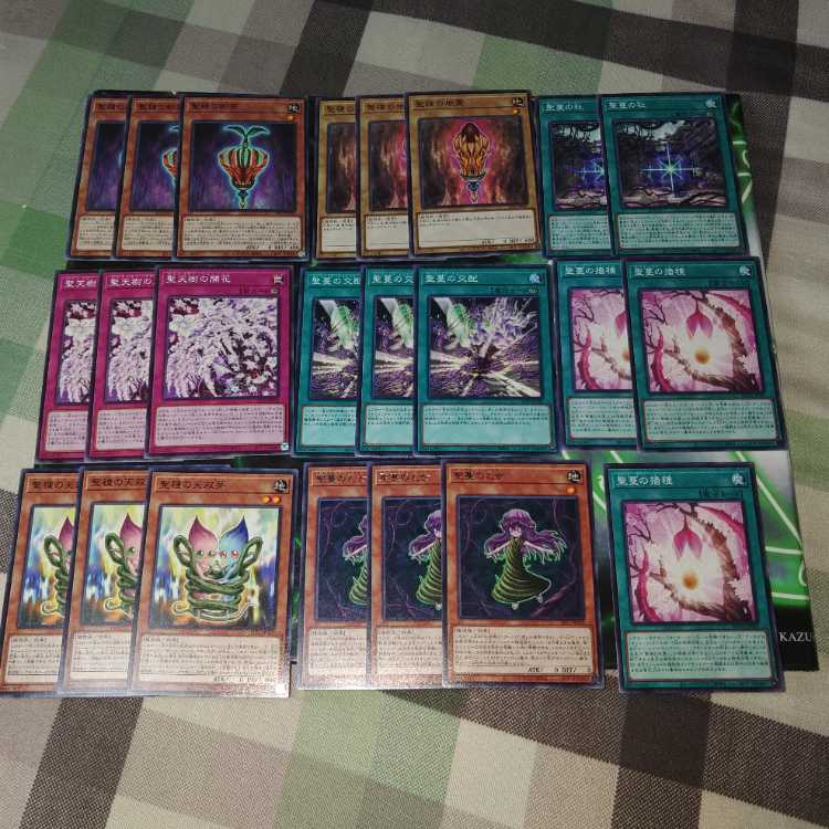 聖天樹 デッキパーツ さ行 サンアバロン 植物族 遊戯王