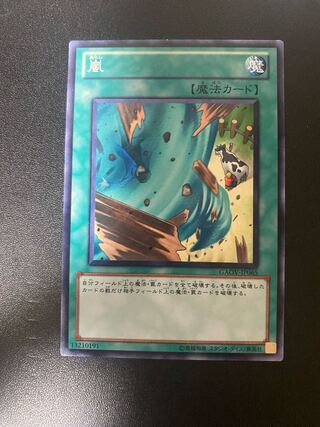 嵐　ノーマル　レア