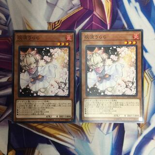 灰流うらら　ノーマル　2枚【39164-37】