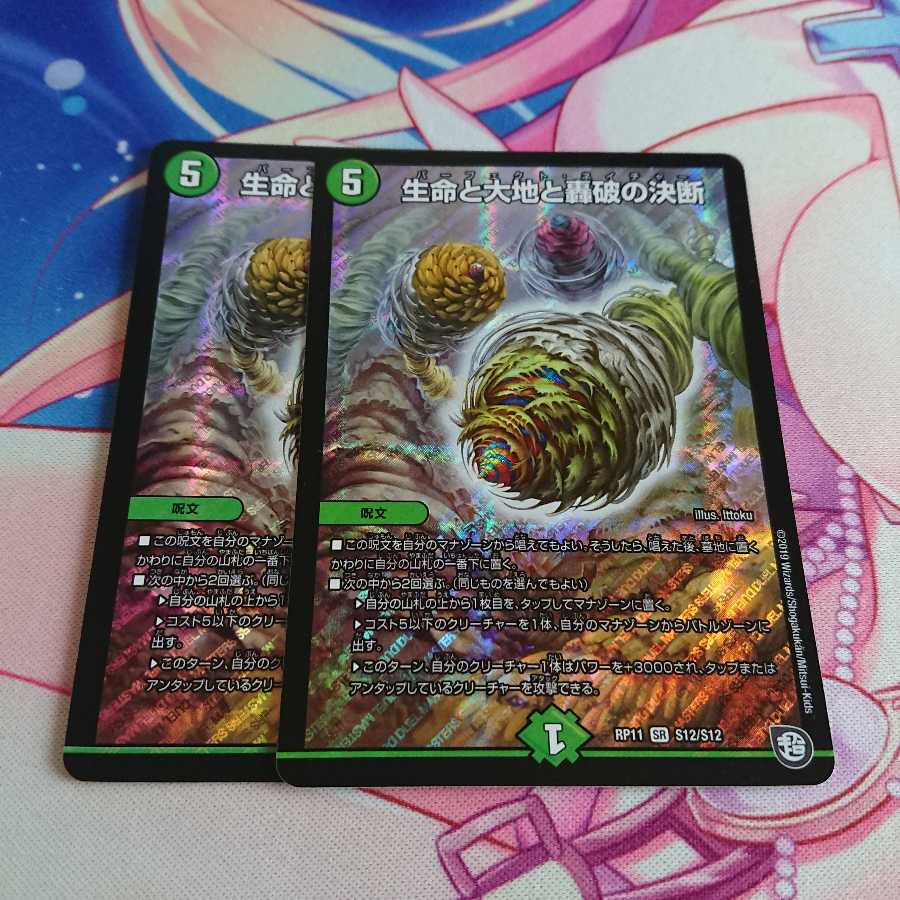 生命と大地と轟破の決断