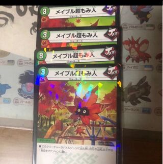 メイプル超もみ人　SD 4枚