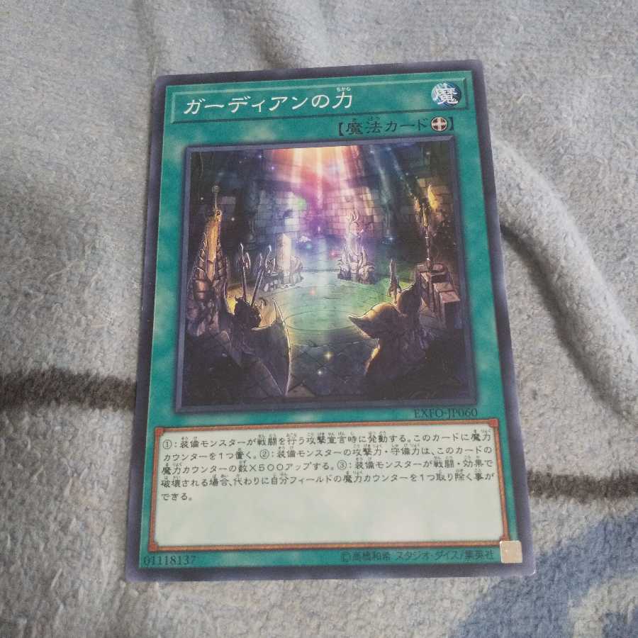 ガーディアンの力