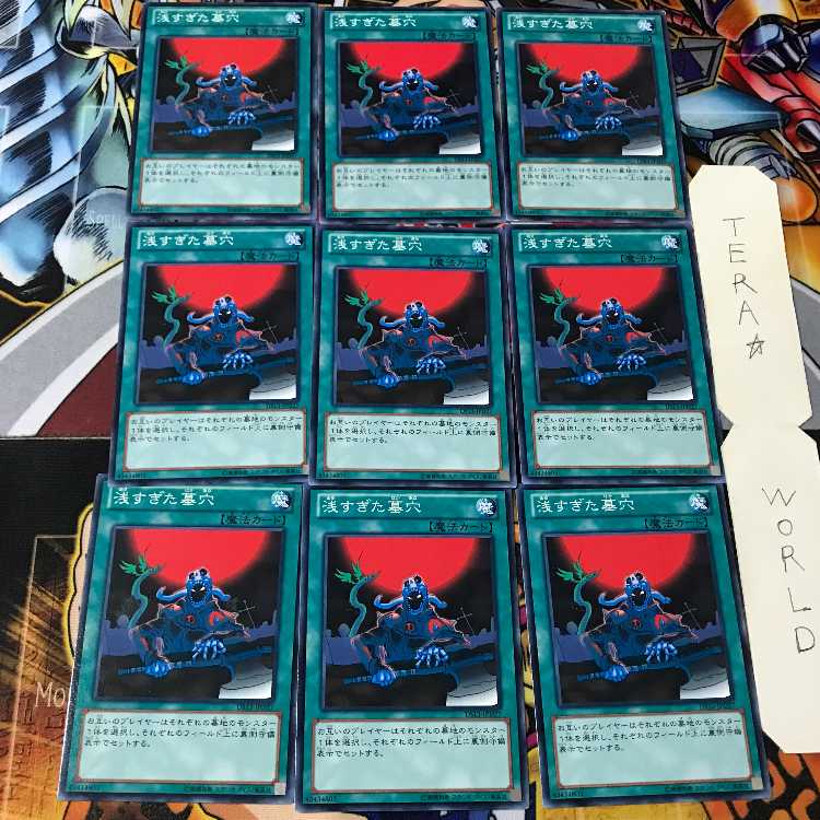 The Shallow Grave DS13 2 Normal 9-card set Tera