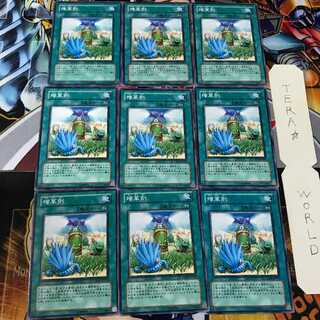 増草剤 CSOC 2 ノーマル 9枚セット てら