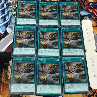 大進化薬 SR04 2 ノーマル 9枚セット てら