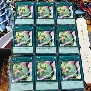 調律 DP23 2 ノーマル 9枚セット てら