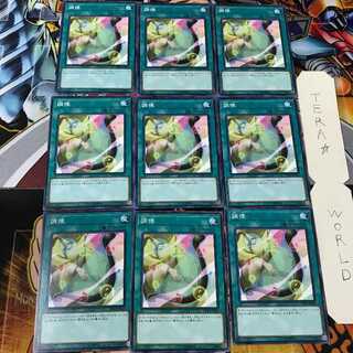 調律 DP23 3 ノーマル 9枚セット てら