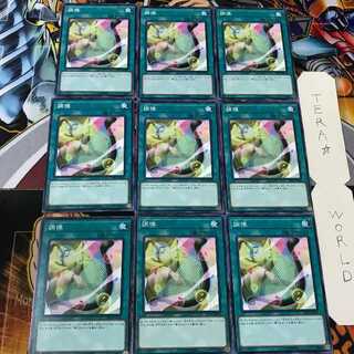 調律 DP23 4 ノーマル 9枚セット てら