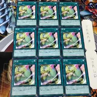 調律 SD28 2 ノーマル 9枚セット てら