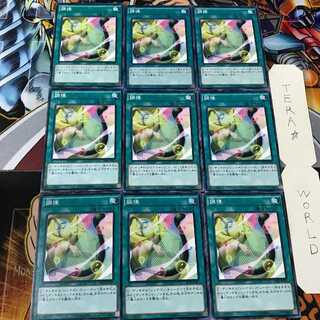 調律 SD28 4 ノーマル 9枚セット てら