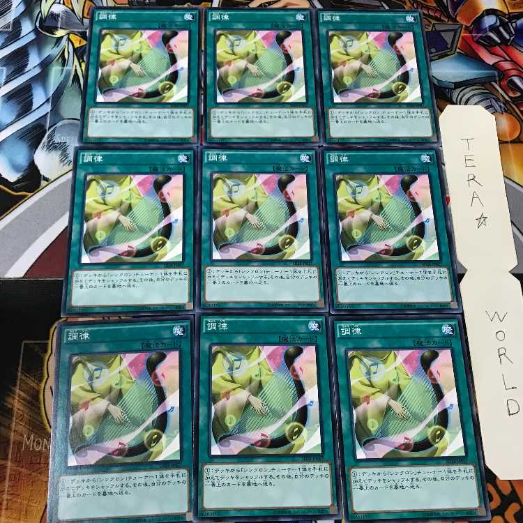 調律 SD28 5 ノーマル 9枚セット てら