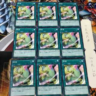 調律 SD28 6 ノーマル 9枚セット てら