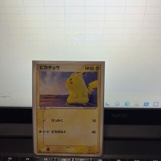Pikachu/ADV/Desert fossil