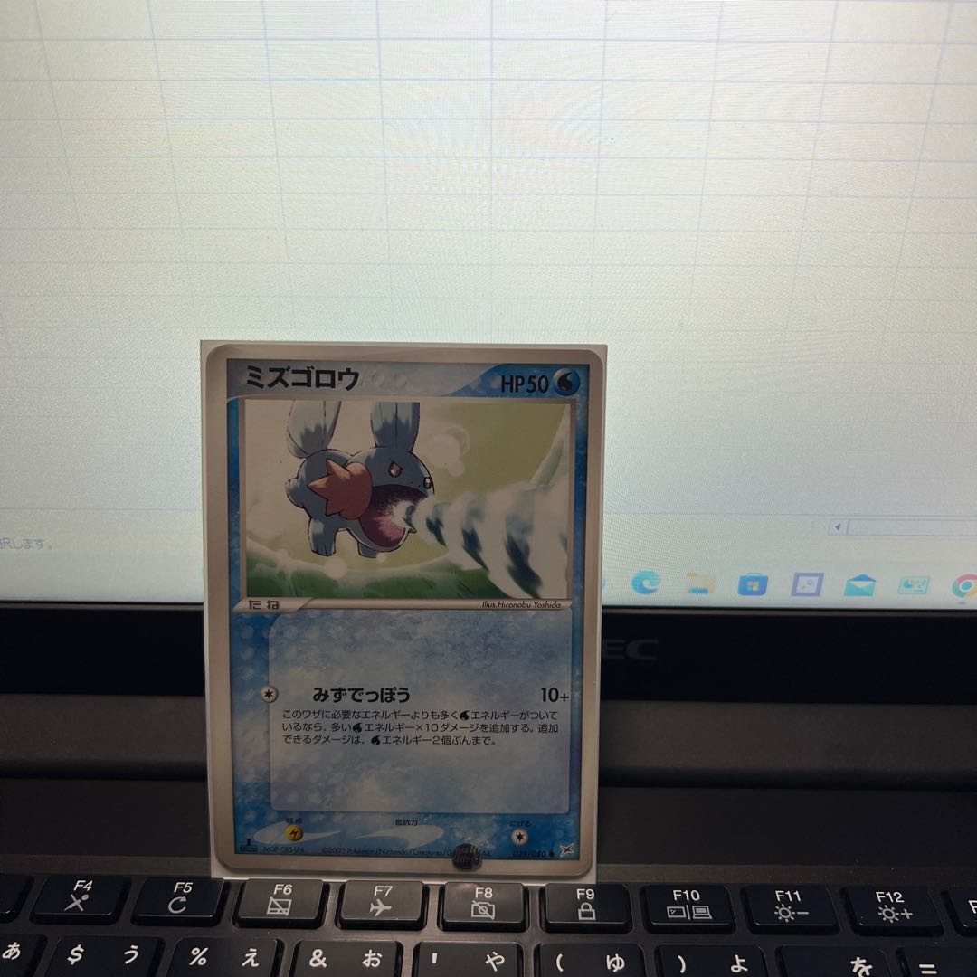 Mudkip/ADV/Magmavs Aqua Two Ambitions