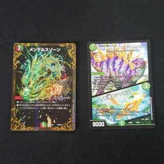 ぶどうの種@プロフ必読様専用