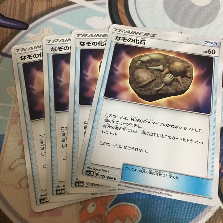 なぞの化石 4枚