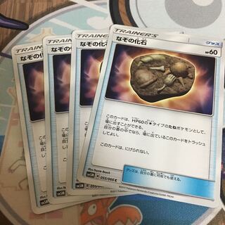 なぞの化石 4枚