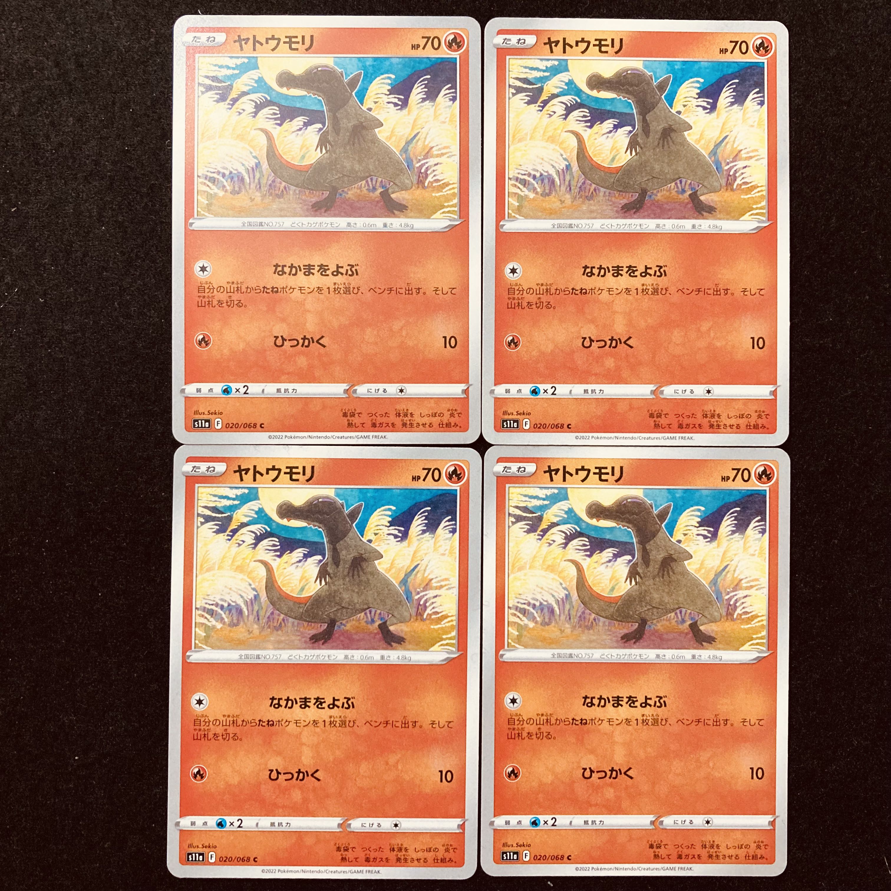 ヤトウモリ C 020/068