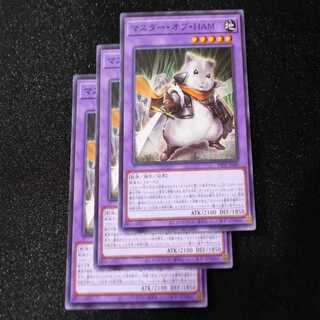 Master of HAM Normal PHNI-JP040③.