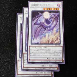 Moon Oboro Dragon Vagnawa Normal PHNI-JP043③.