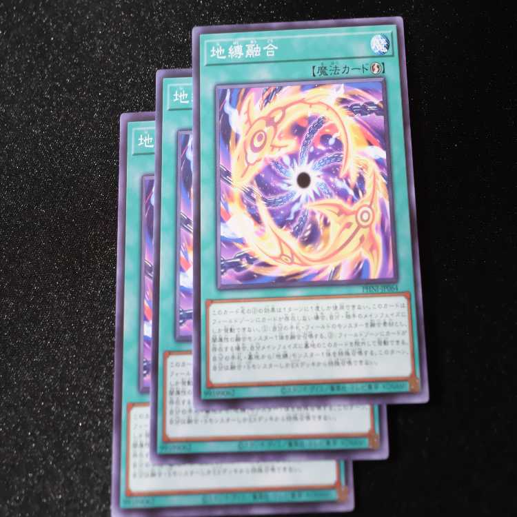 Land binding Polymerization Normal PHNI-JP064①