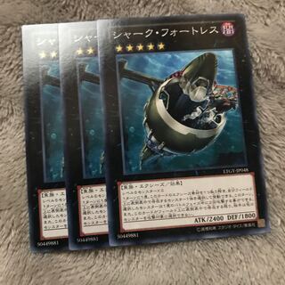 マドレース シャーク・フォートレス