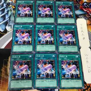 超進化薬 EE2 1 ノーマル 9枚セット てら