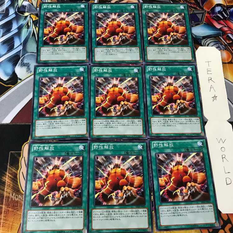 野性解放 SD24 1 ノーマル 9枚セット てら