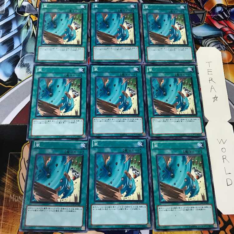 Storm GAOV 1 Normal, set of 9 Tera. 9枚