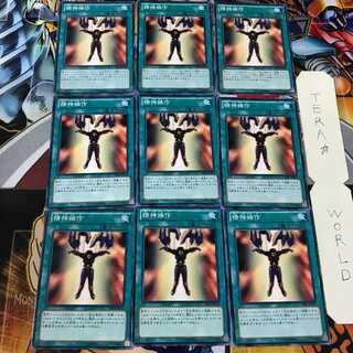 精神操作 GS05 4 ノーマル 9枚セット てら