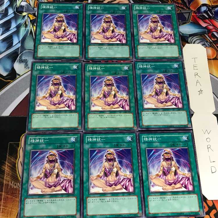 精神統一 303 1 ノーマル 9枚セット てら