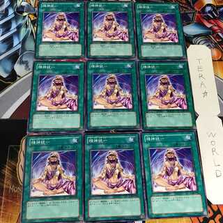 精神統一 303 2 ノーマル 9枚セット てら