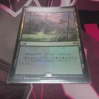 foil ラノワールの荒原