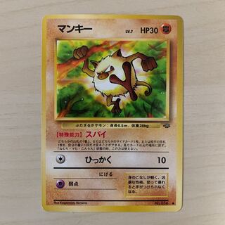 Early Mankey old back