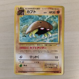 Early Kabuto Old Back