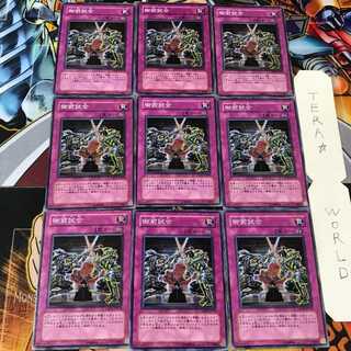 Gozen Match CSOC 1 Normal 9-card set Tera