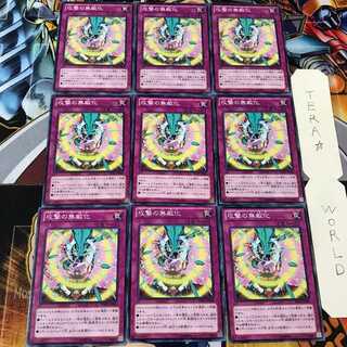 攻撃の無敵化 REDU 2 ノーマル 9枚セット てら