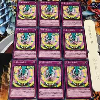 Impenetrable Attack ST13 1 Normal, set of 9 Tera.