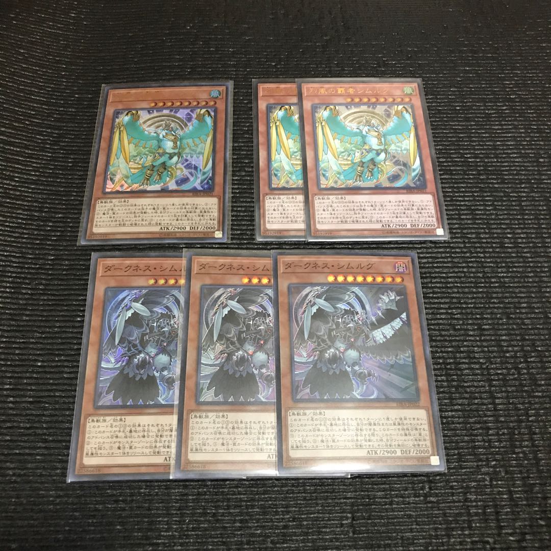 烈風の覇者シムルグ & ダークネス・シムルグ