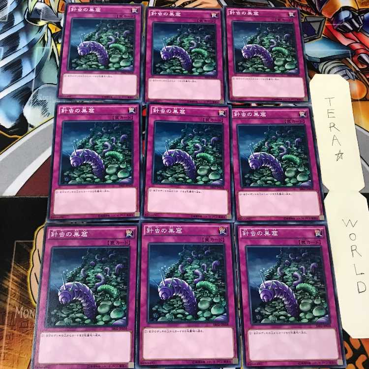 Needlebug Nest SR02 4 Normal, set of 9 Tera