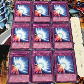 hirosis 様 専用 1枚