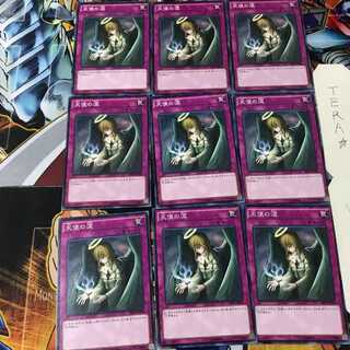 天使の涙 SHVI 2 ノーマル 9枚セット てら