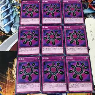 破壊輪 SDKS 2 ノーマル 9枚セット てら